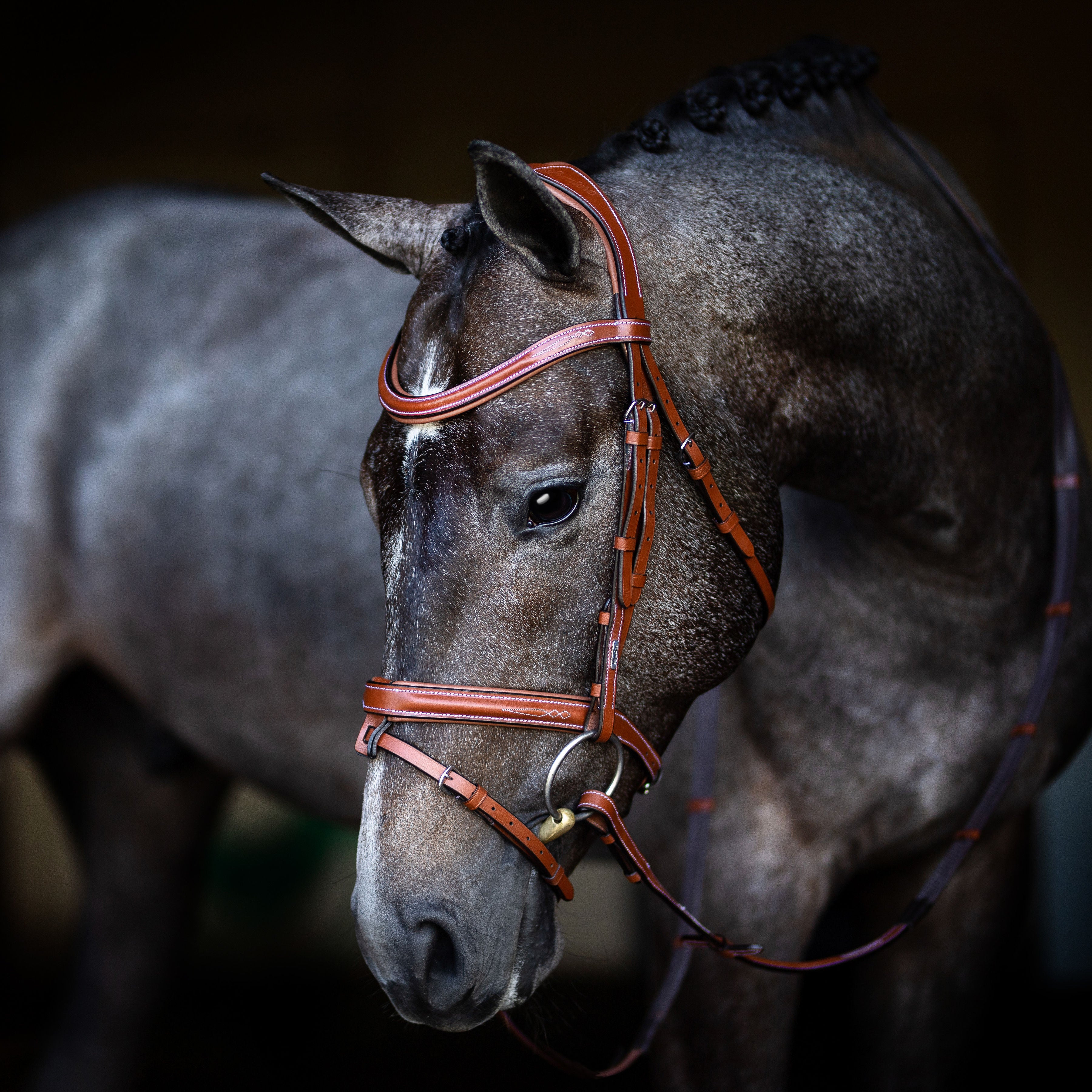 'Milan' leather bridle (convertible) - Lumiere Equestrian