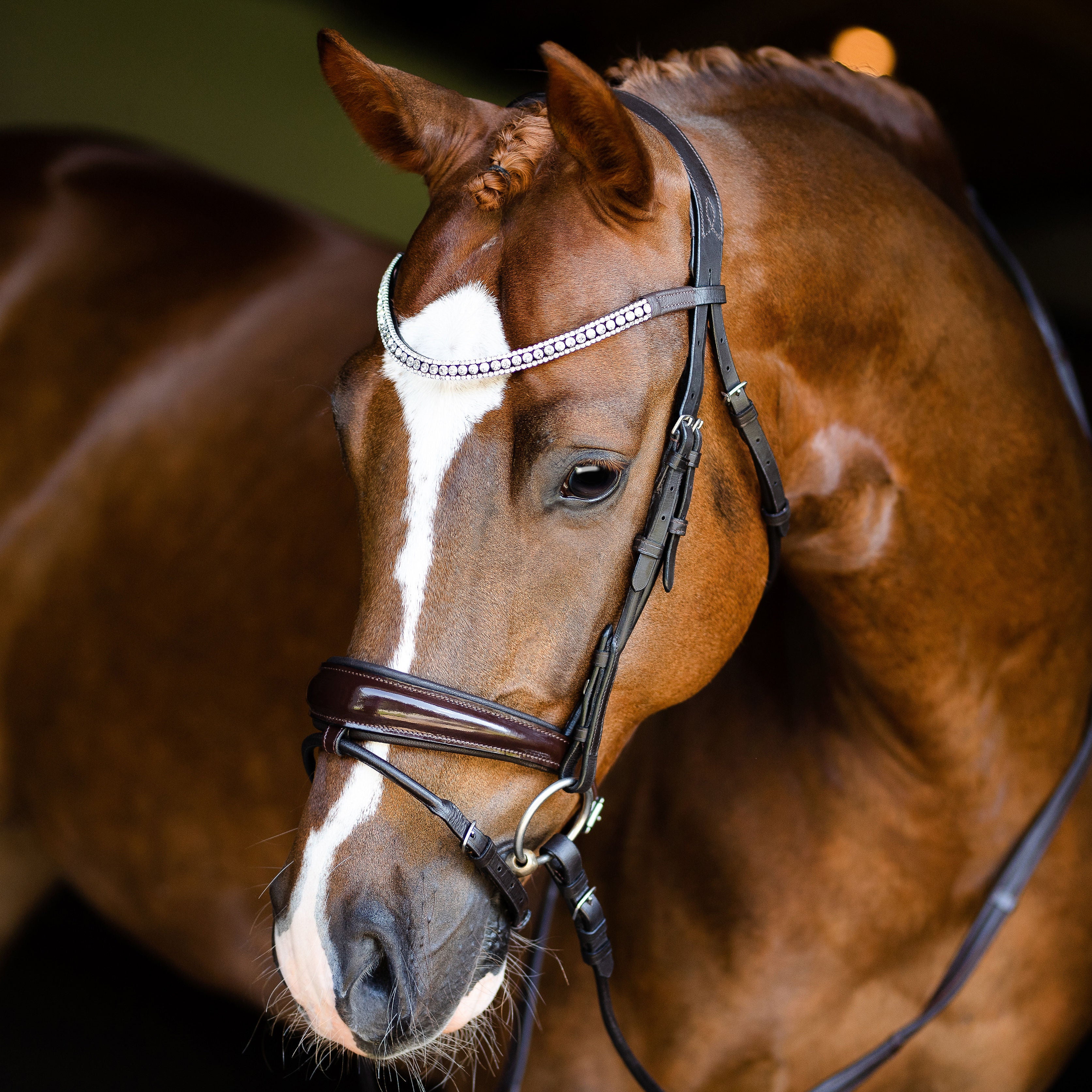 'Amie' Rolled Leather Bridle (Hanoverian) – Lumiere Equestrian