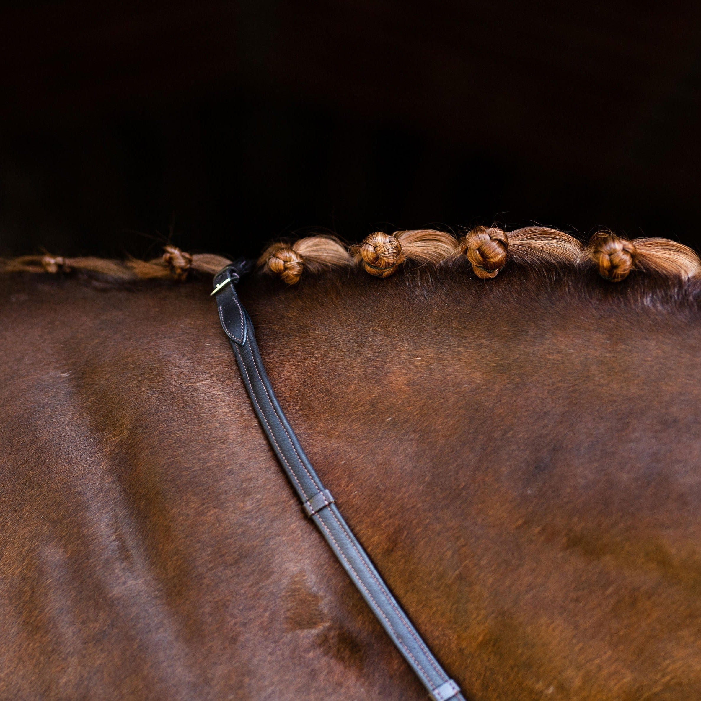 Padded nappa leather reins (rolled) - black & brown (silver fittings) - Lumiere Equestrian