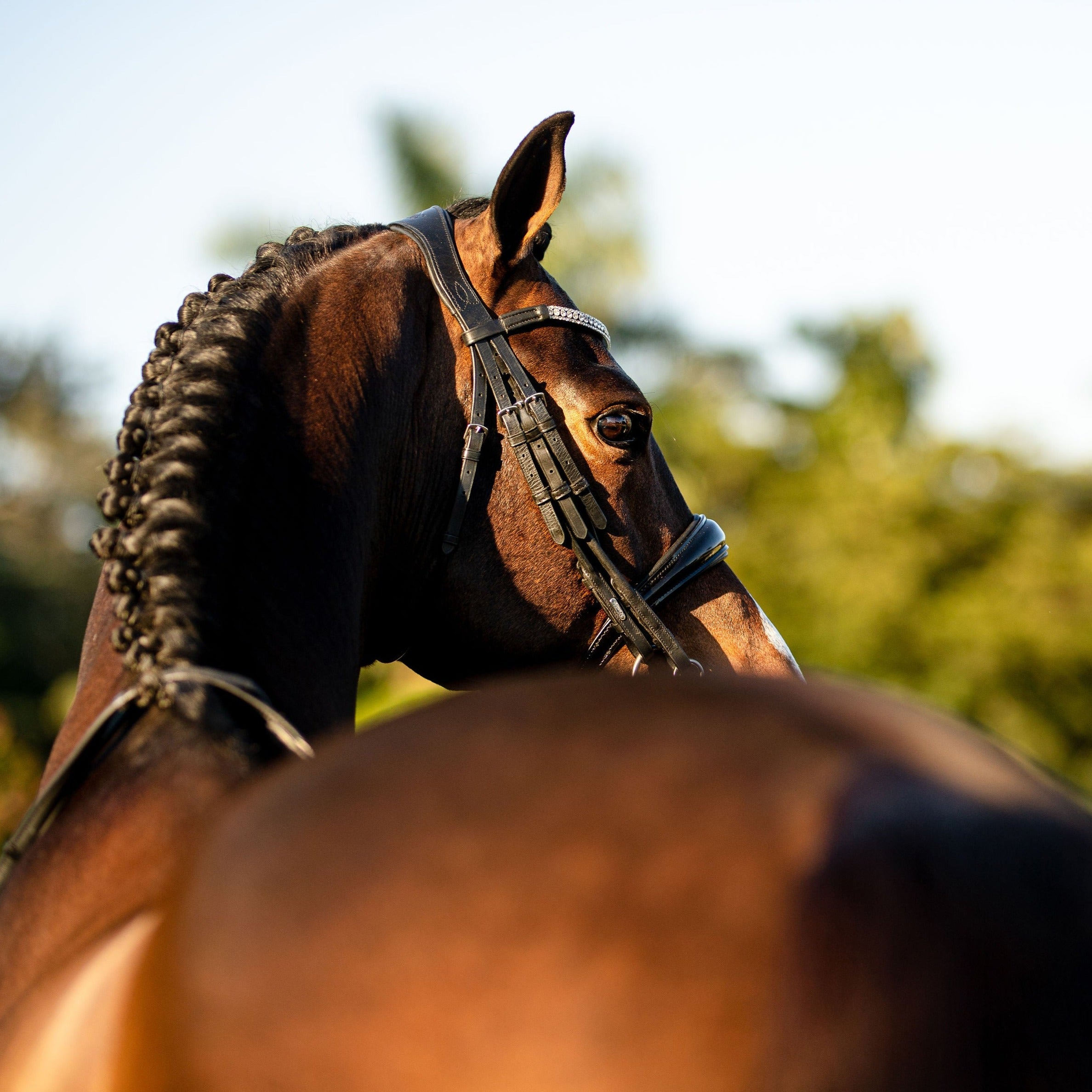 'Amie' luxury leather bridle - (double) - Lumiere Equestrian