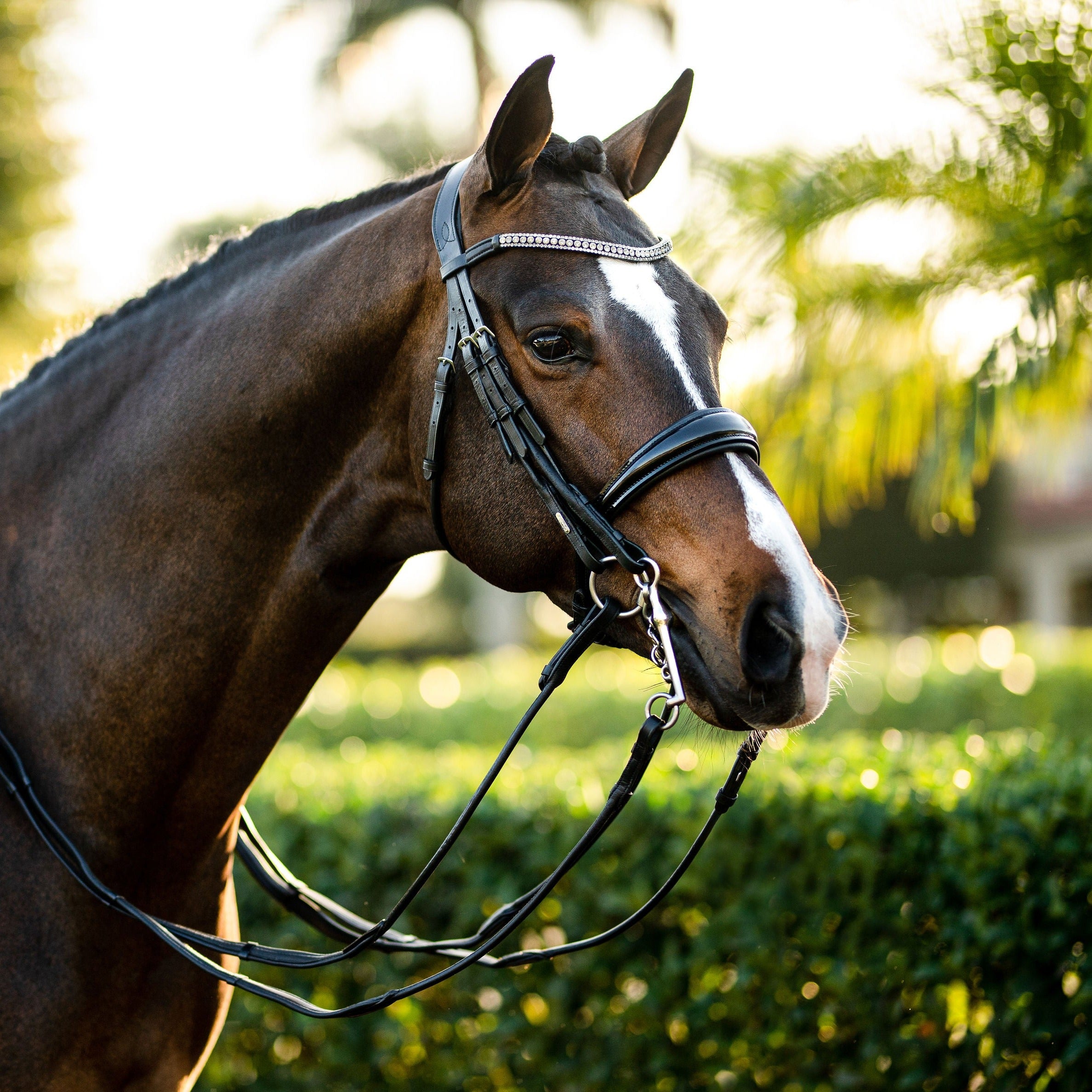 'Amie' luxury leather bridle - (double) - Lumiere Equestrian