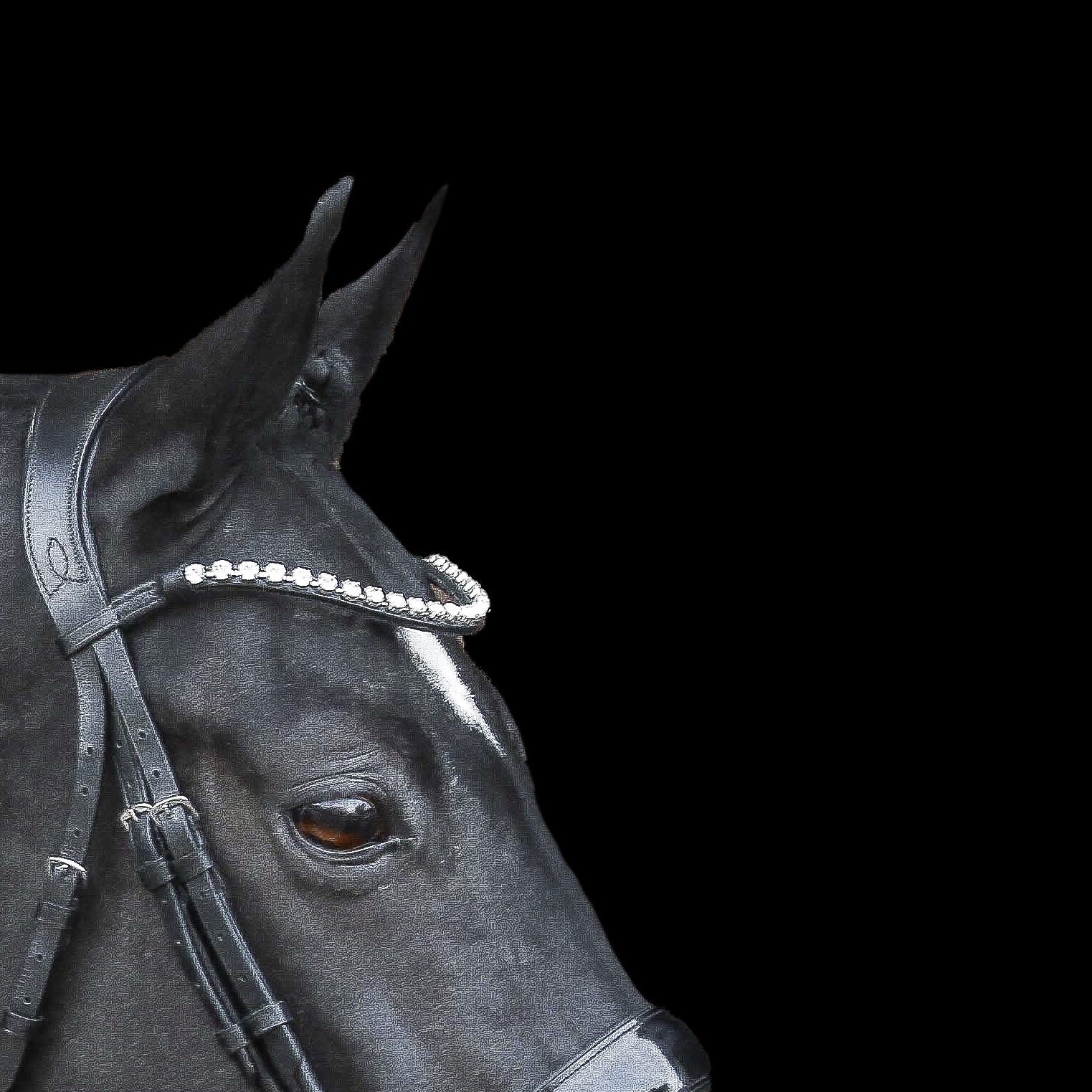 Diamante crystal browband - (black leather) - Lumiere Equestrian