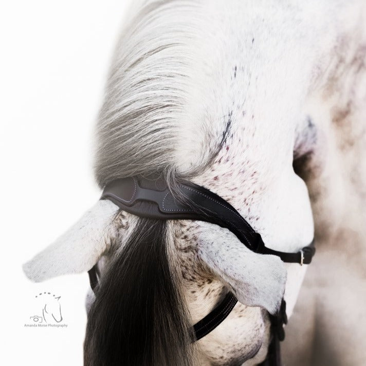 Anatomic monocrown headpiece (nappa padding) - Lumiere Equestrian
