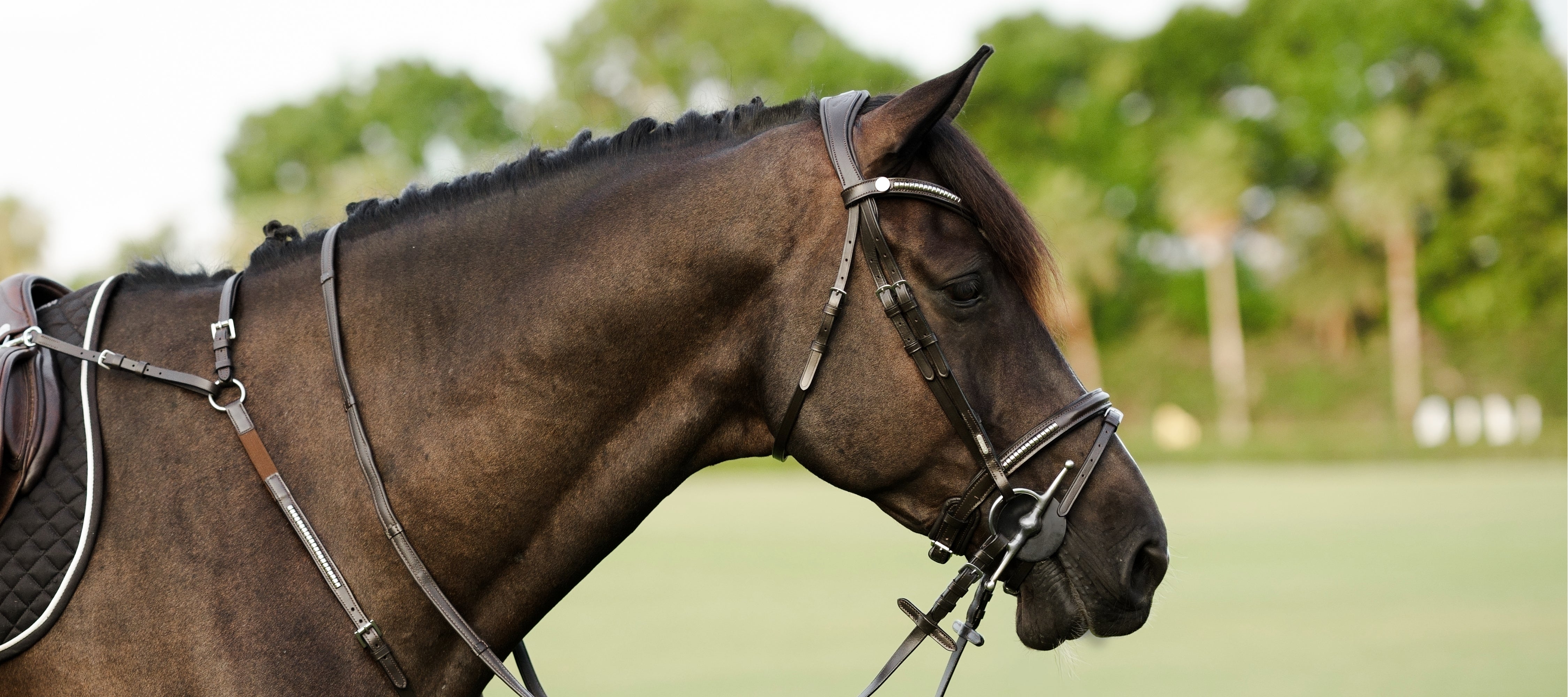 Clincher detailing: from the farrier's forge to a timeless equestrian classic