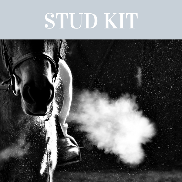 Stud Kit Essentials