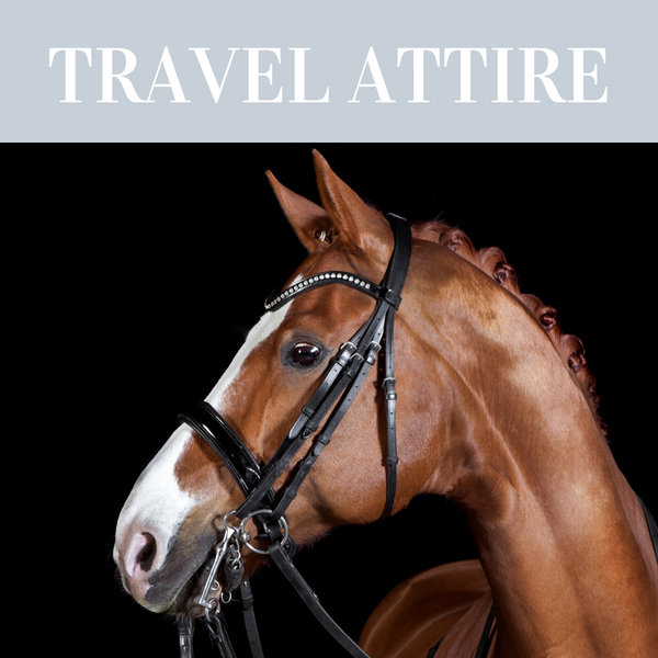 Travelling attire for horses