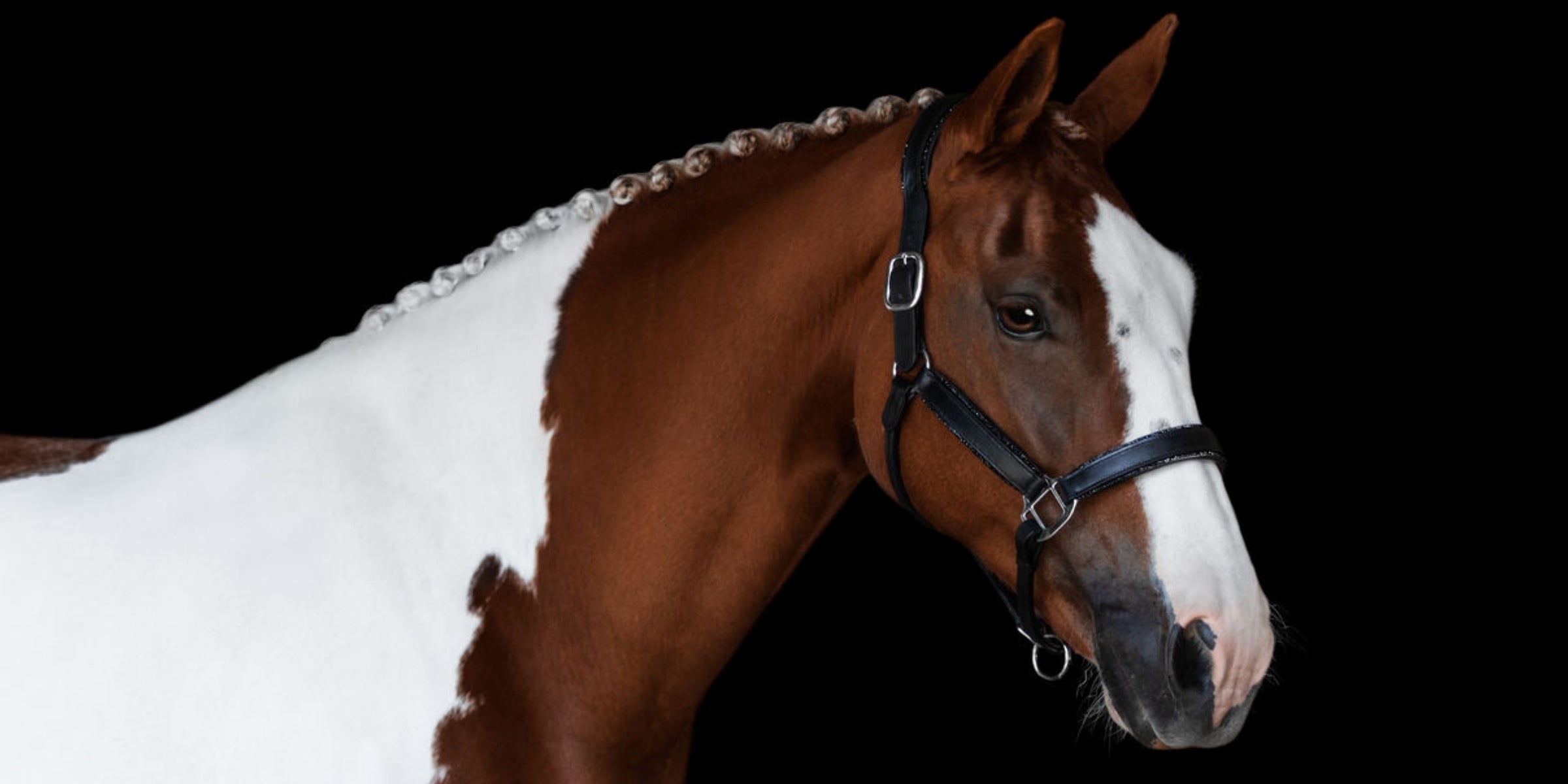 Blacken faded tack (leather care guide)