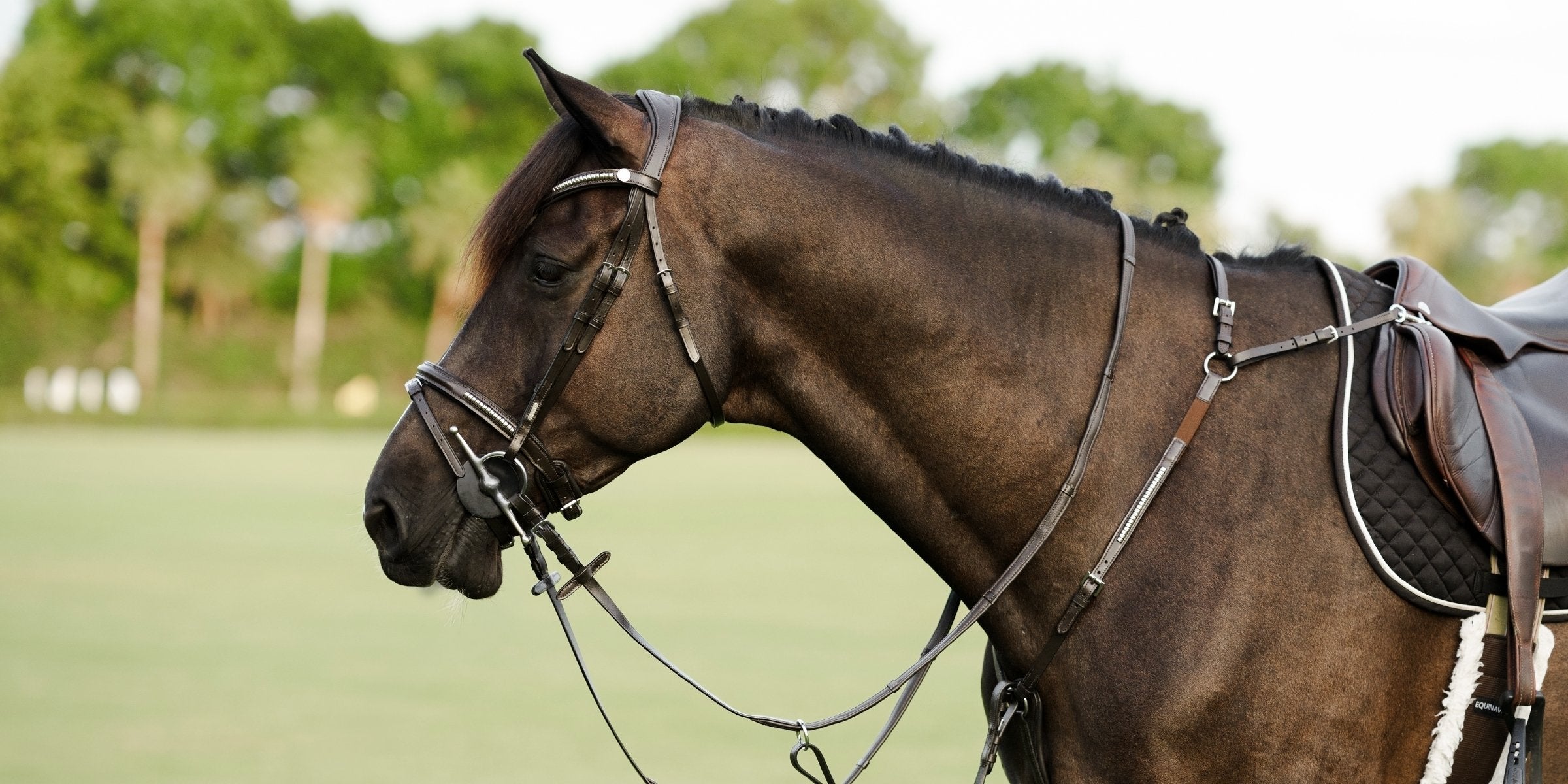 Clincher detailing: from the farrier's forge to a timeless equestrian classic