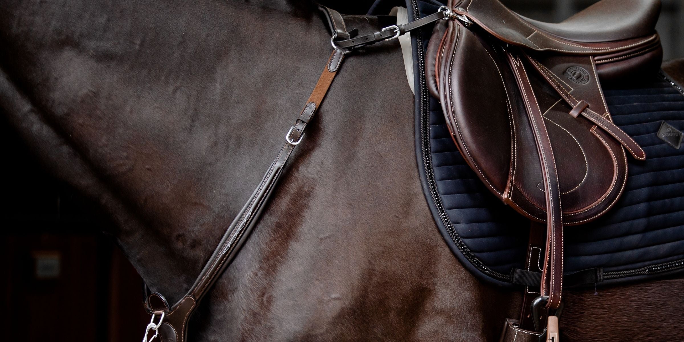 Why breastplates are the most underrated piece of tack