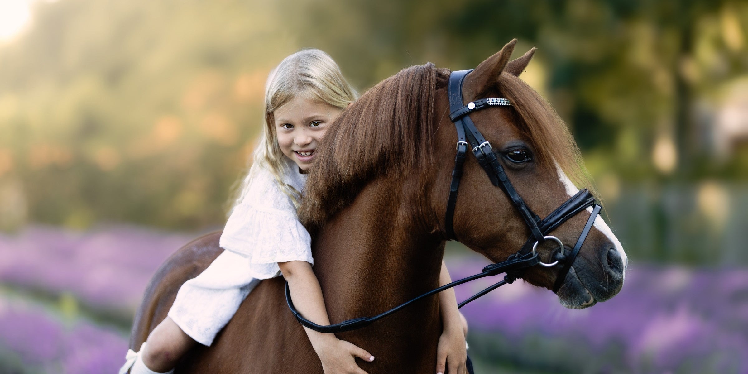 Introducing Lumi Pony: The Perfect Fit for Your Pony's Comfort and Style