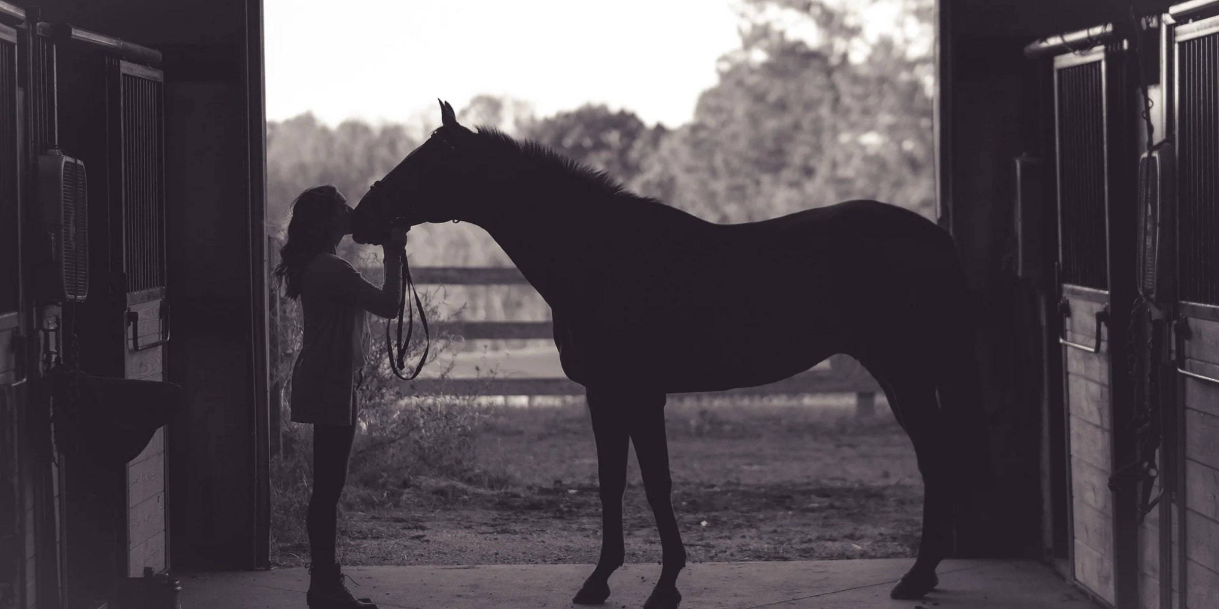 The Benefits of Horse Riding for Physical and Mental Health