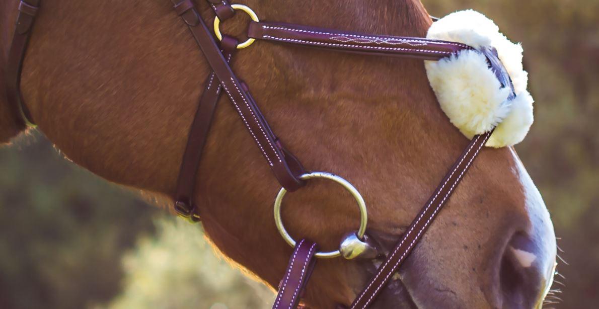 HOW TO: NOSEBAND GUIDE