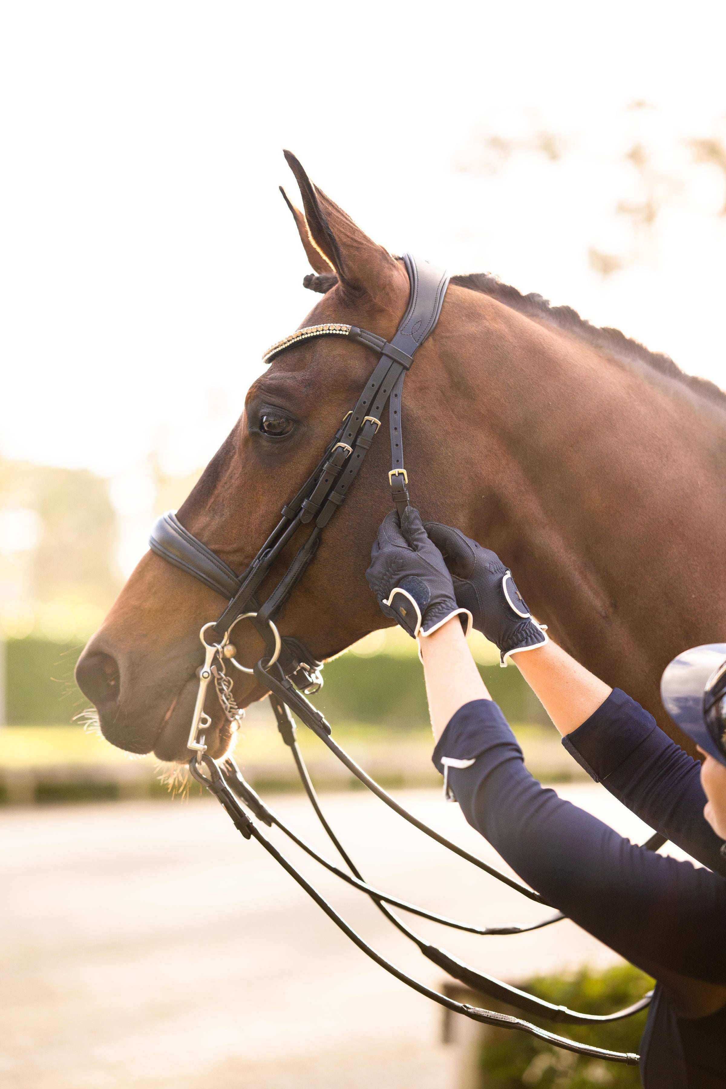 The freedom of customisable bridles: style, fit, and function your way