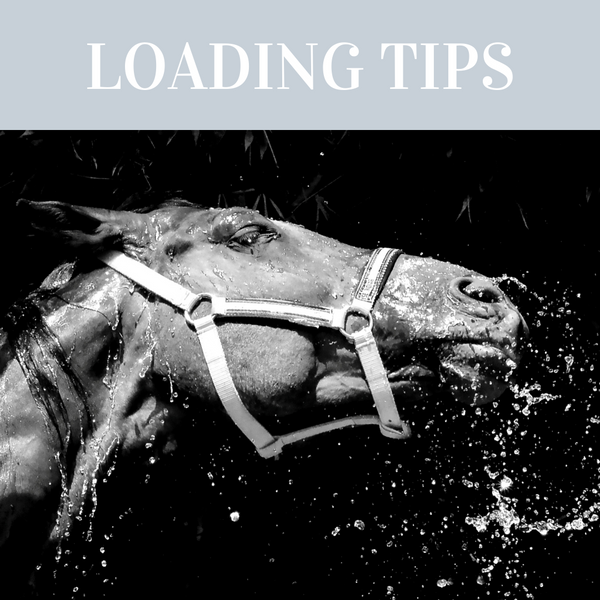 TIPS FOR HORSES THAT ARE DIFFICULT TO LOAD