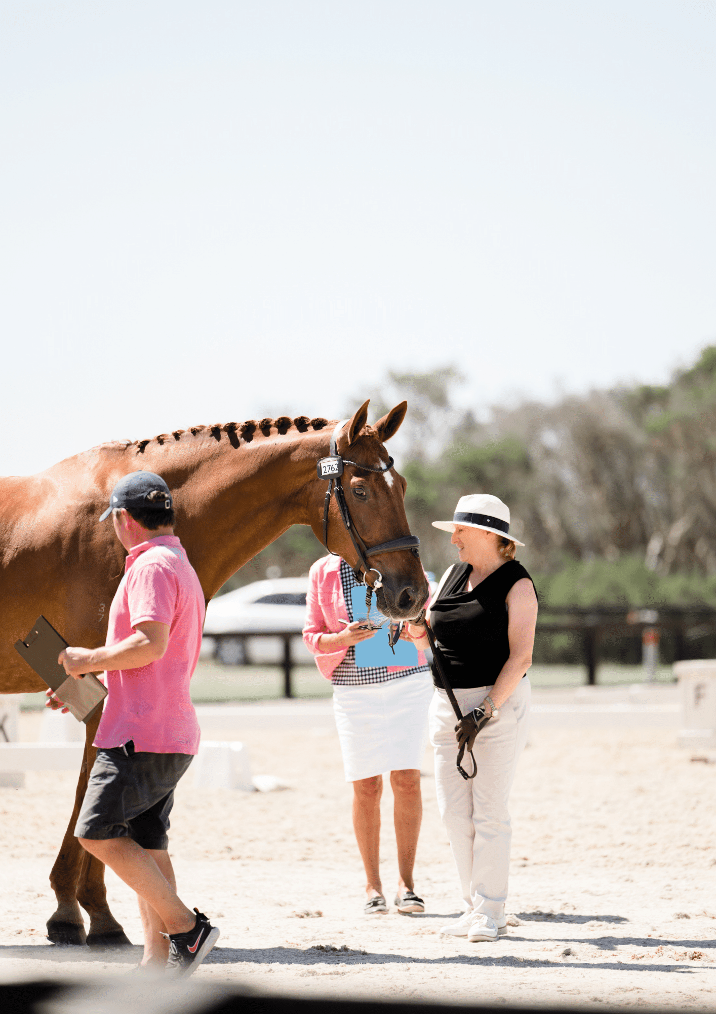FLOODWATERS TO THE LIMELIGHT