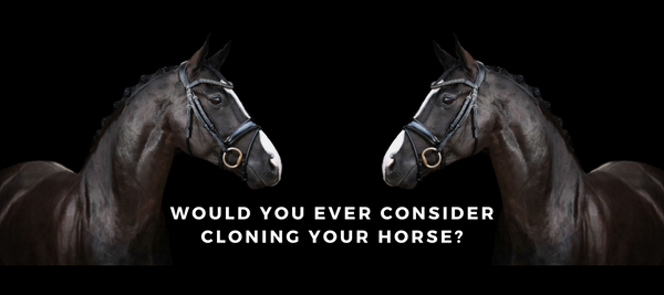 WOULD YOU EVER CONSIDER CLONING YOUR HORSE?