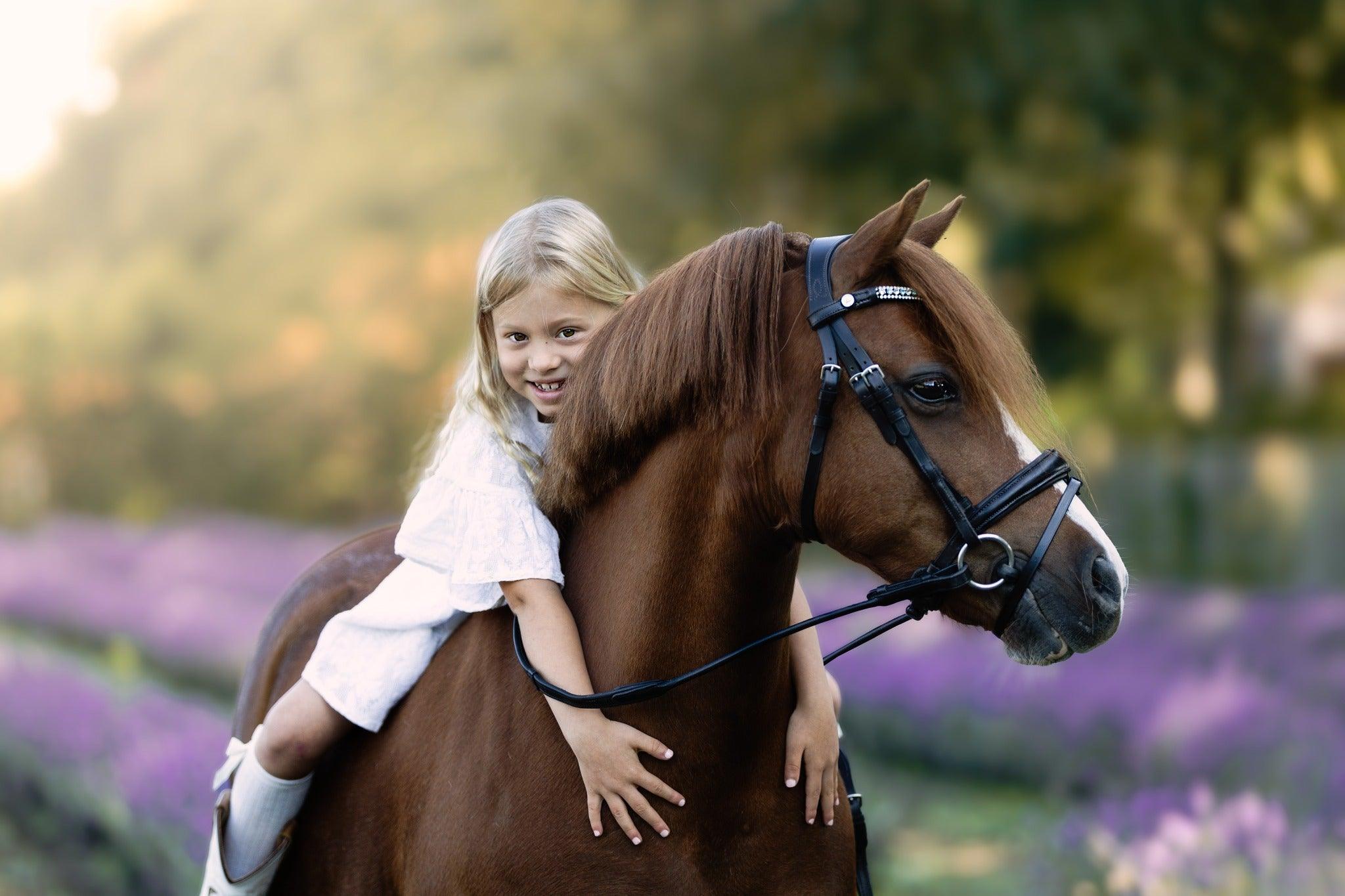 Introducing Lumi Pony: The Perfect Fit for Your Pony's Comfort and Style
