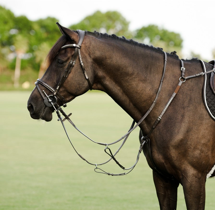 Tack set: Perseus jump
