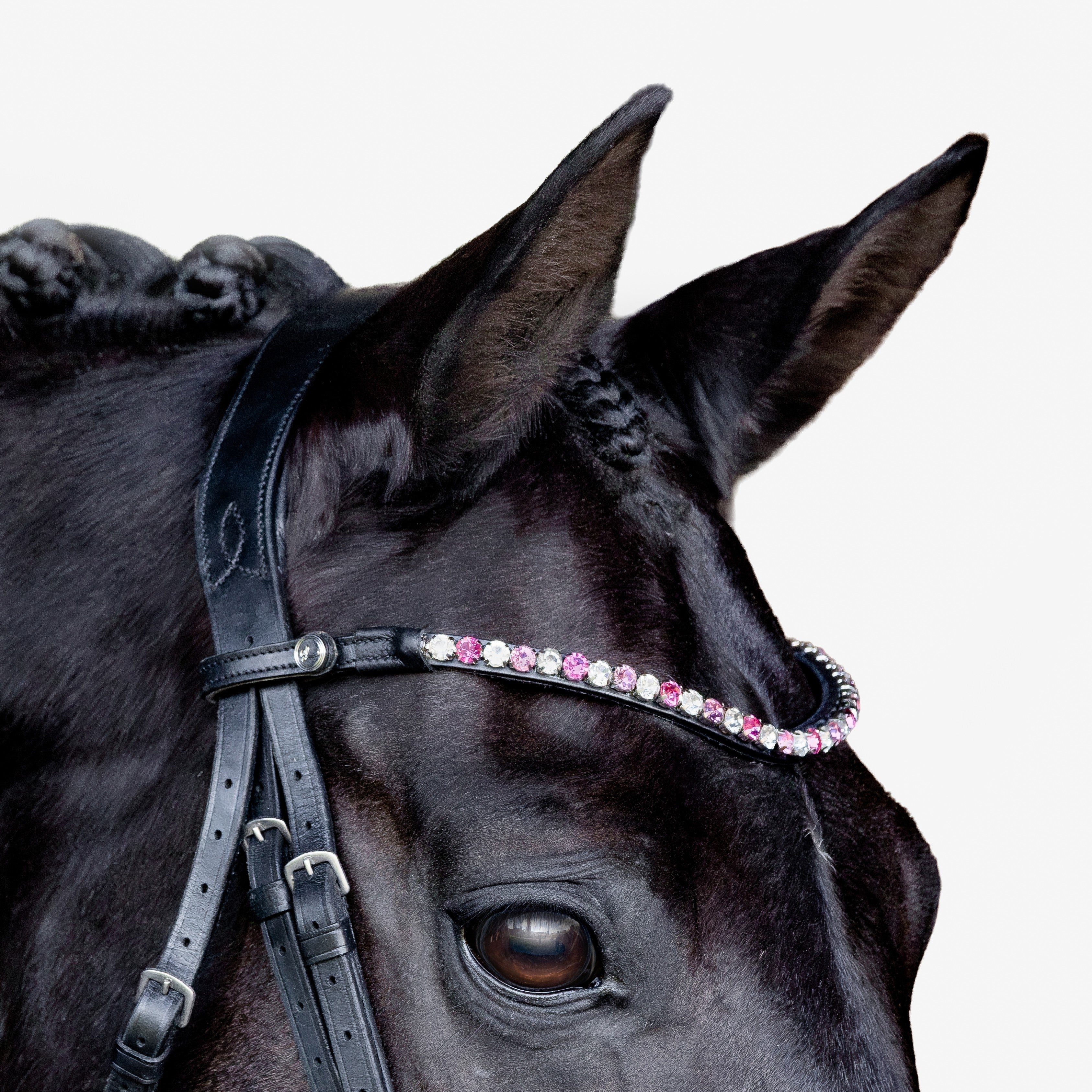 Browbands