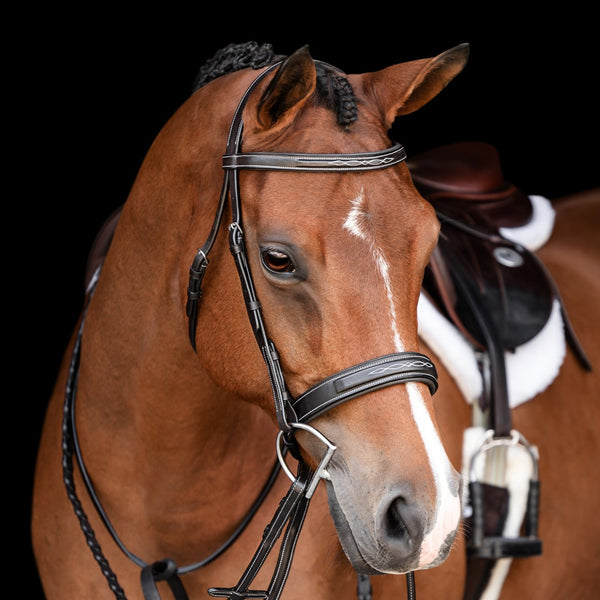 'Classic' hunter bridle