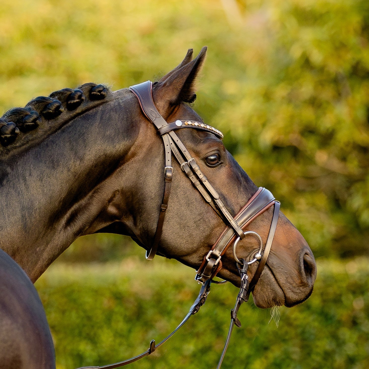Pippa bridle