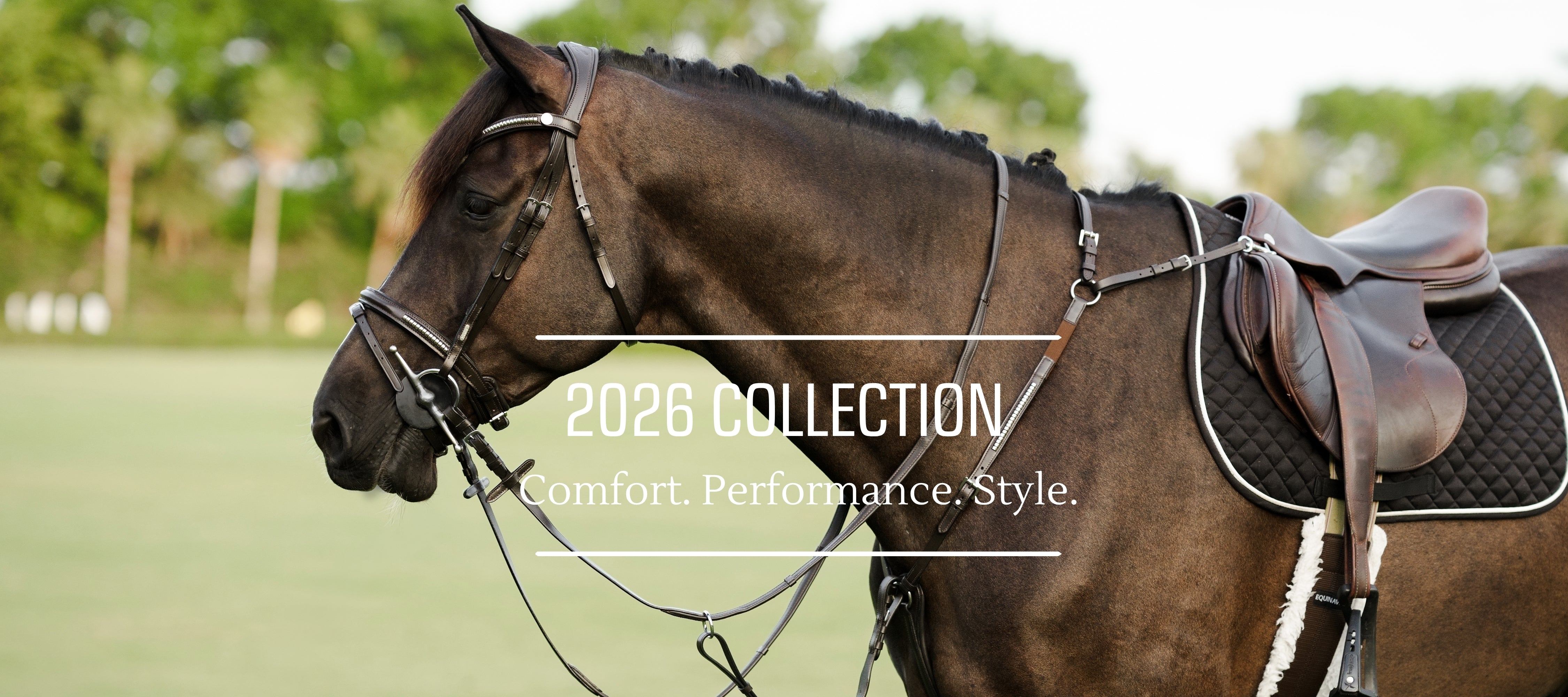 andwang Lumière Bicolor Twin Set black Lumiere Equestrian | Official Website
