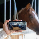 Equine Eye 'at home' (paddock / stable camera) - AU / NZ