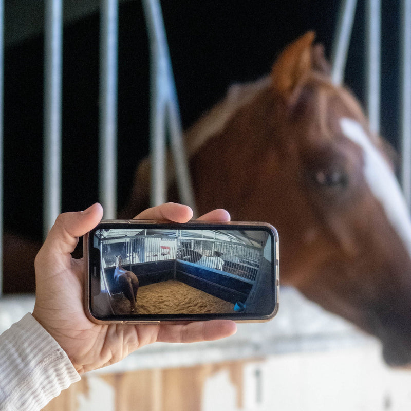 Equine Eye 'at home' (paddock / stable camera) - AU / NZ