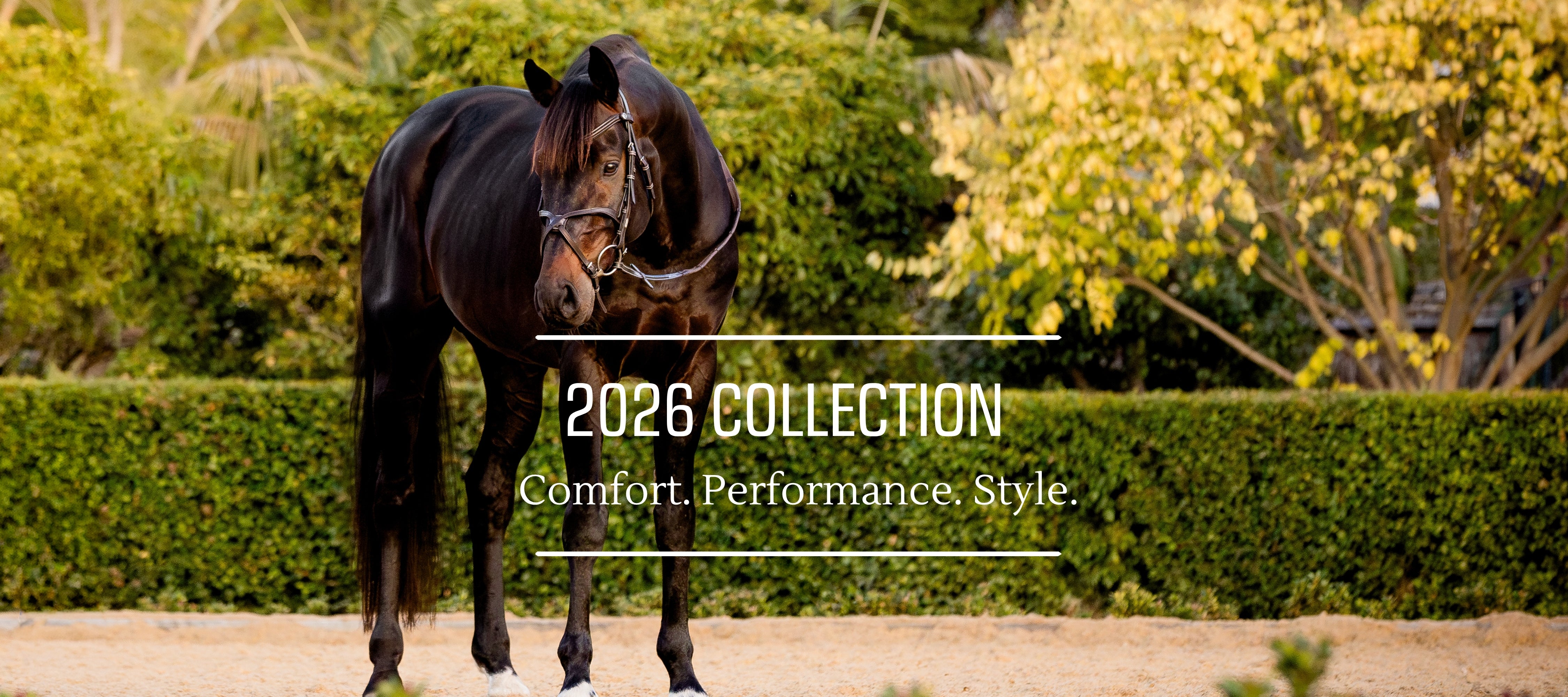 Lumiere Equestrian | Official Website