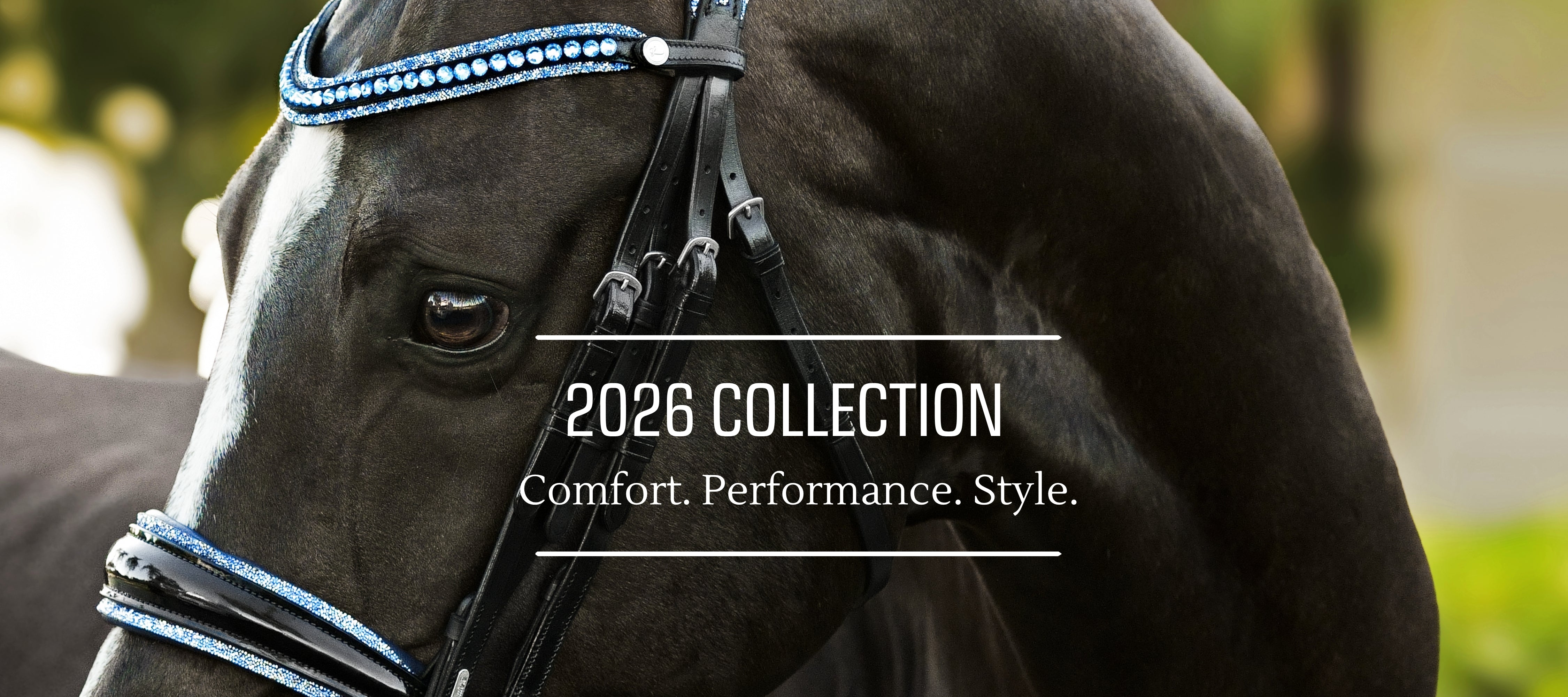 Lumiere Equestrian | Official Website