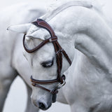 'Delaney' leather bridle (Lumi Pony) Clearance
