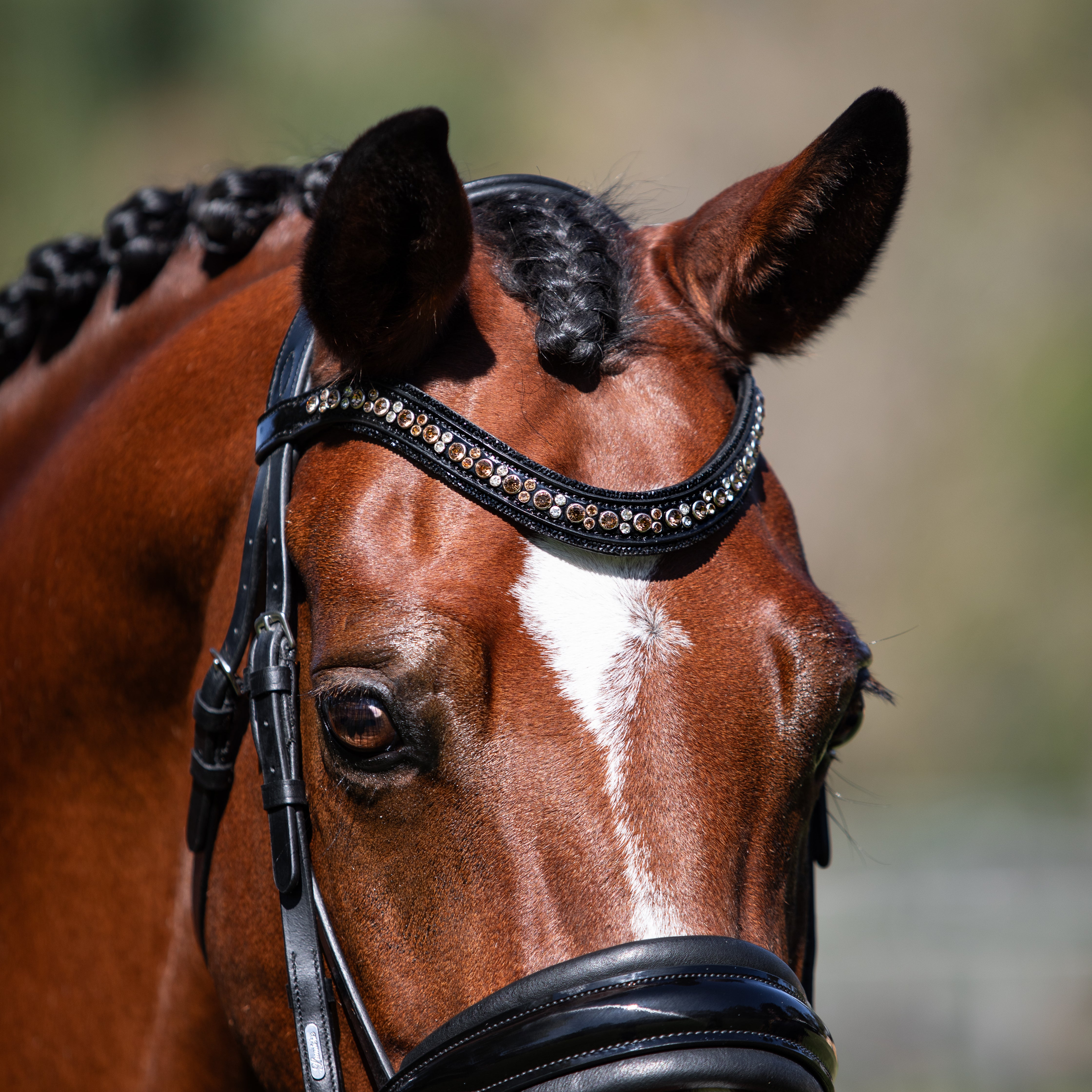 'Ariana' bridle (cavesson) - Lumiere Equestrian