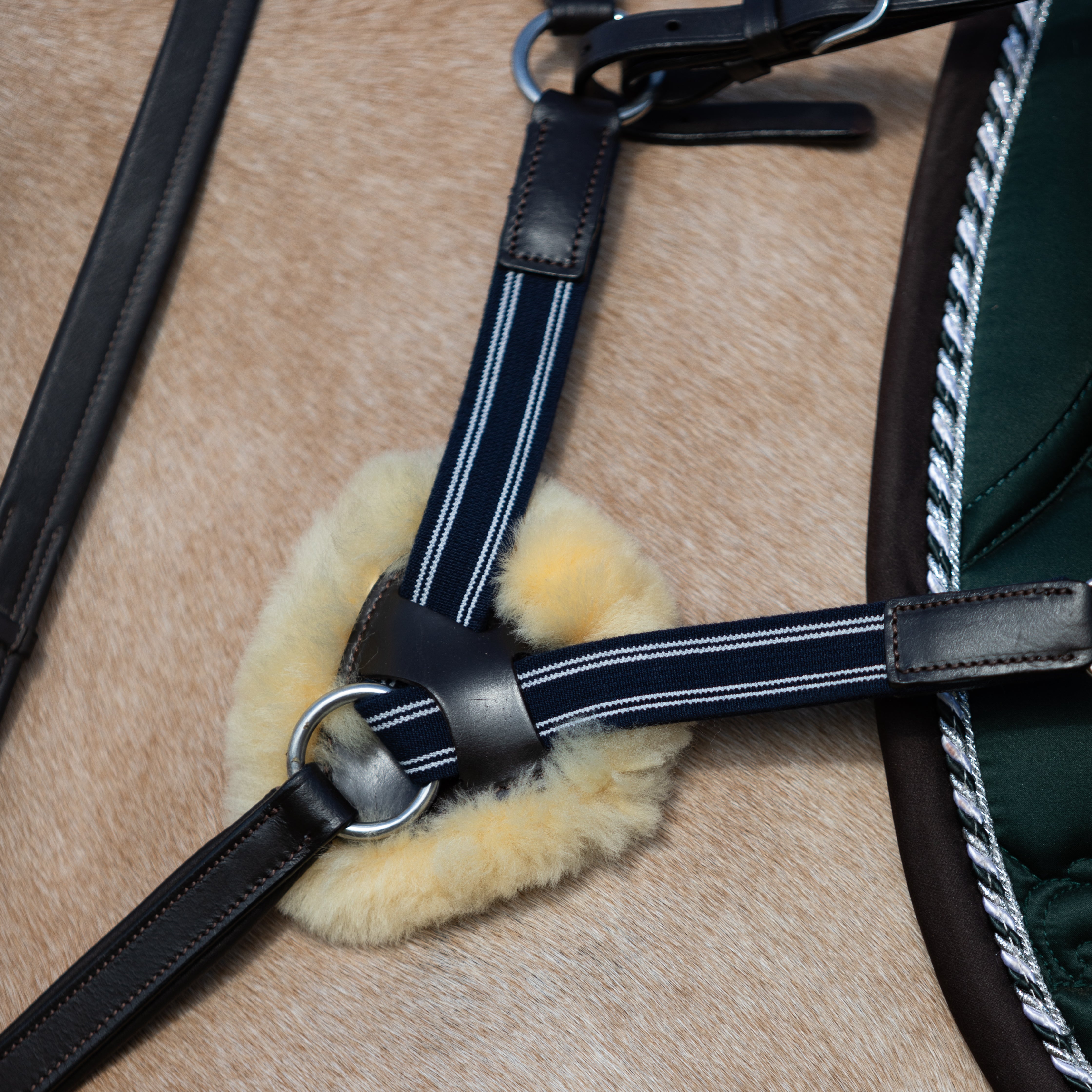 'Antiqua' 5-Point Leather Breastplate - Lumiere Equestrian