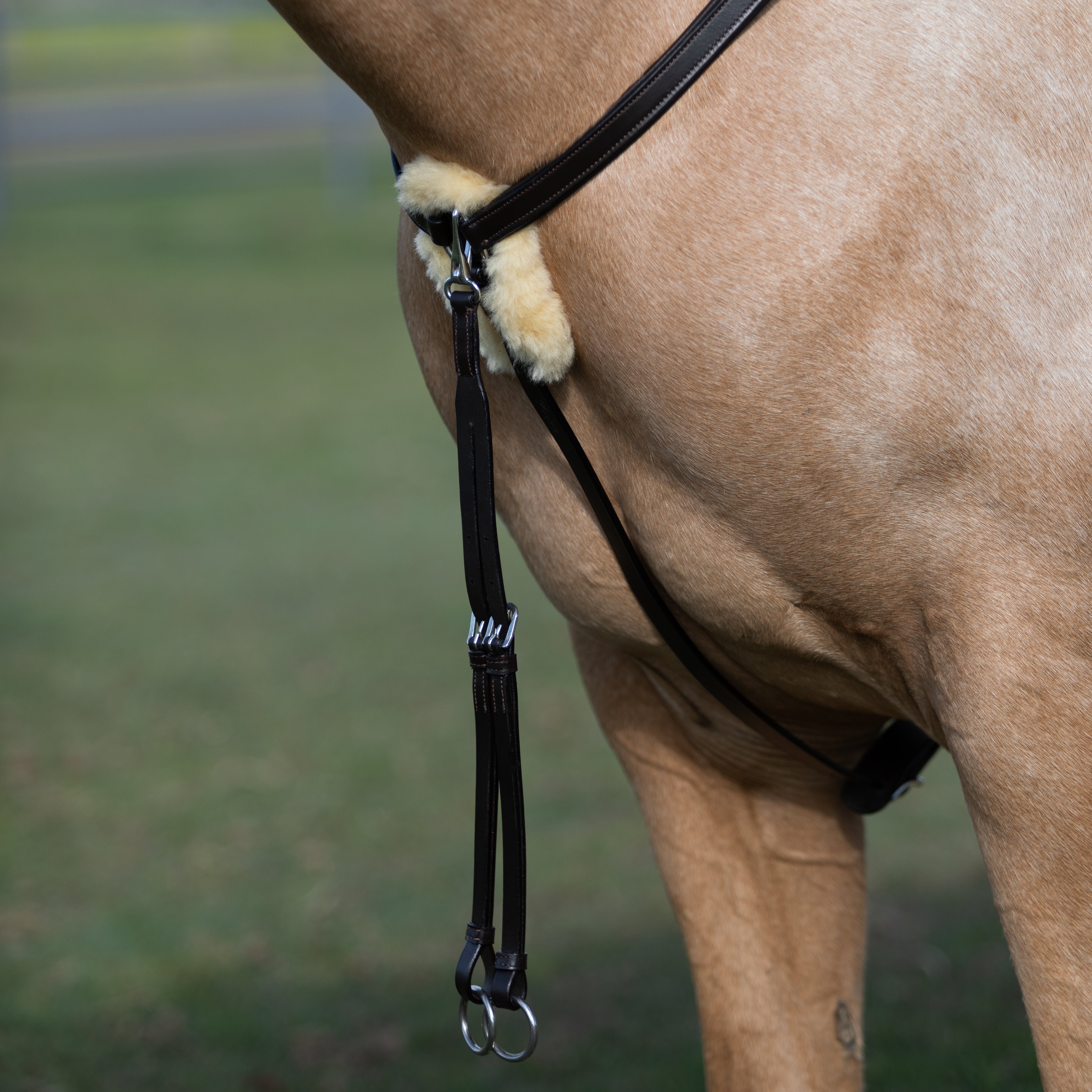 'Antiqua' 5-Point Leather Breastplate - Lumiere Equestrian
