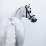 'Delaney' leather bridle (Lumi Pony) Clearance