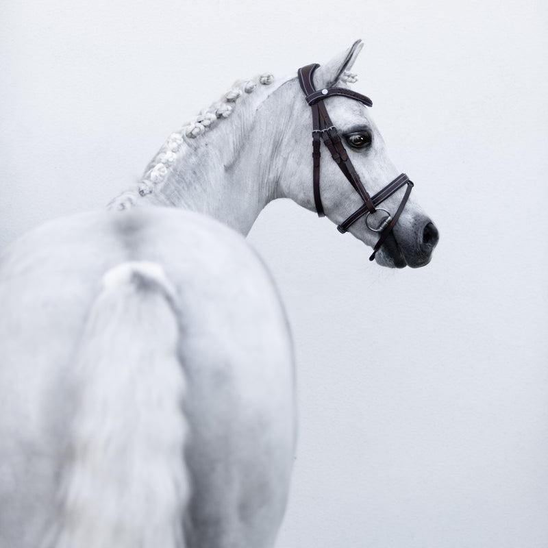 'Delaney' leather bridle (Lumi Pony) Clearance