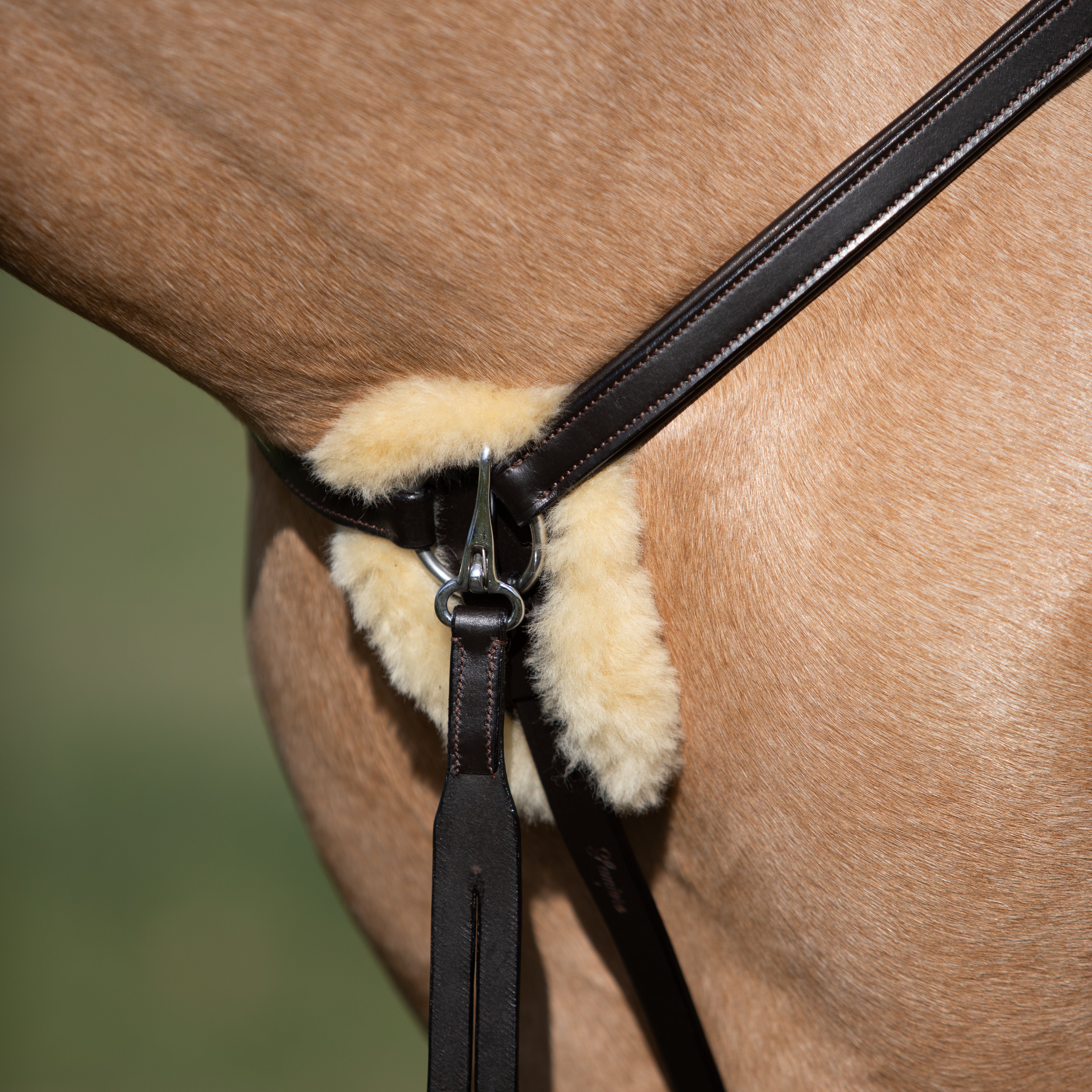 'Antiqua' 5-Point Leather Breastplate - Lumiere Equestrian