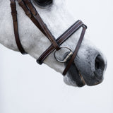 'Delaney' leather bridle (Lumi Pony) Clearance