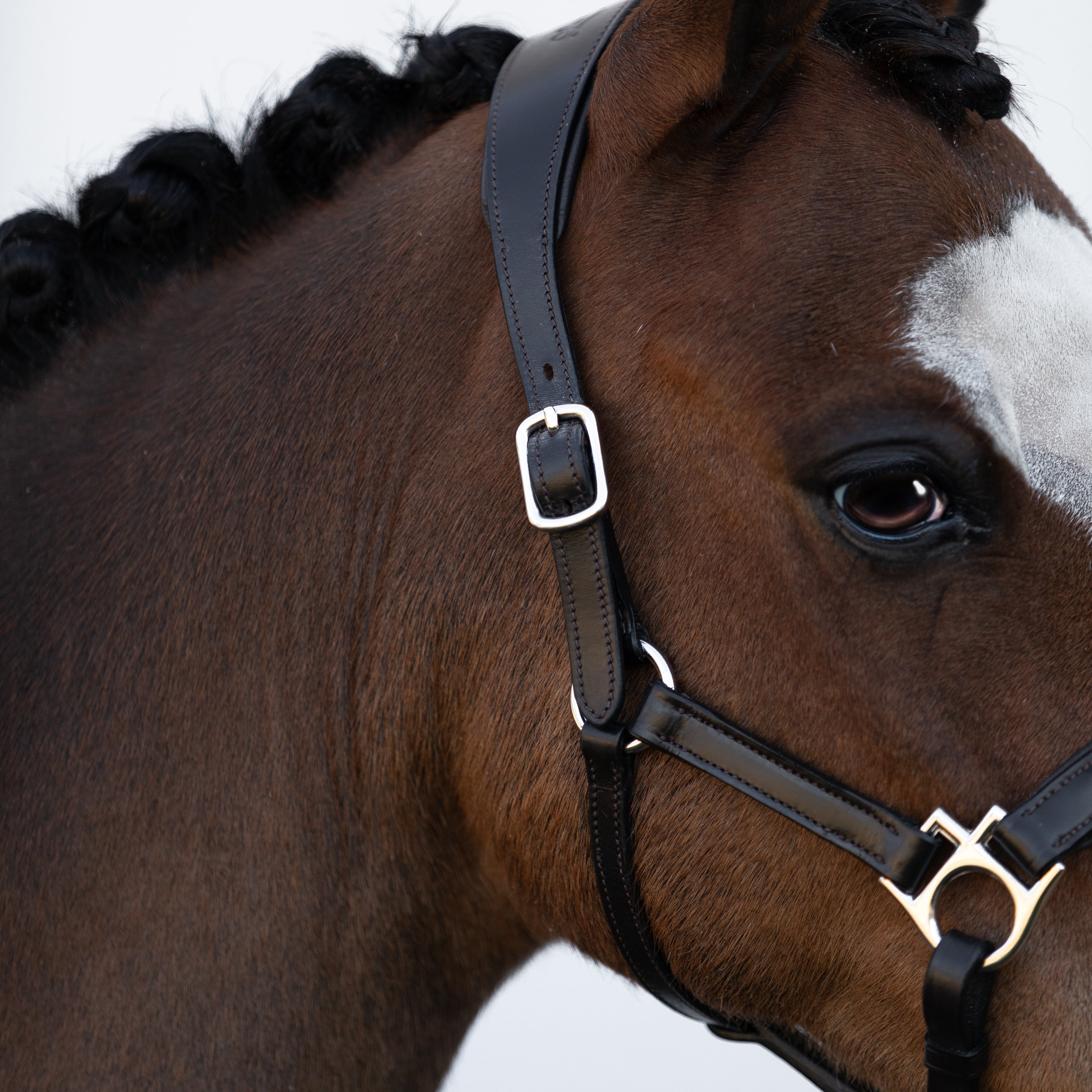 'Alize' leather halter (Lumi Pony) - Lumiere Equestrian