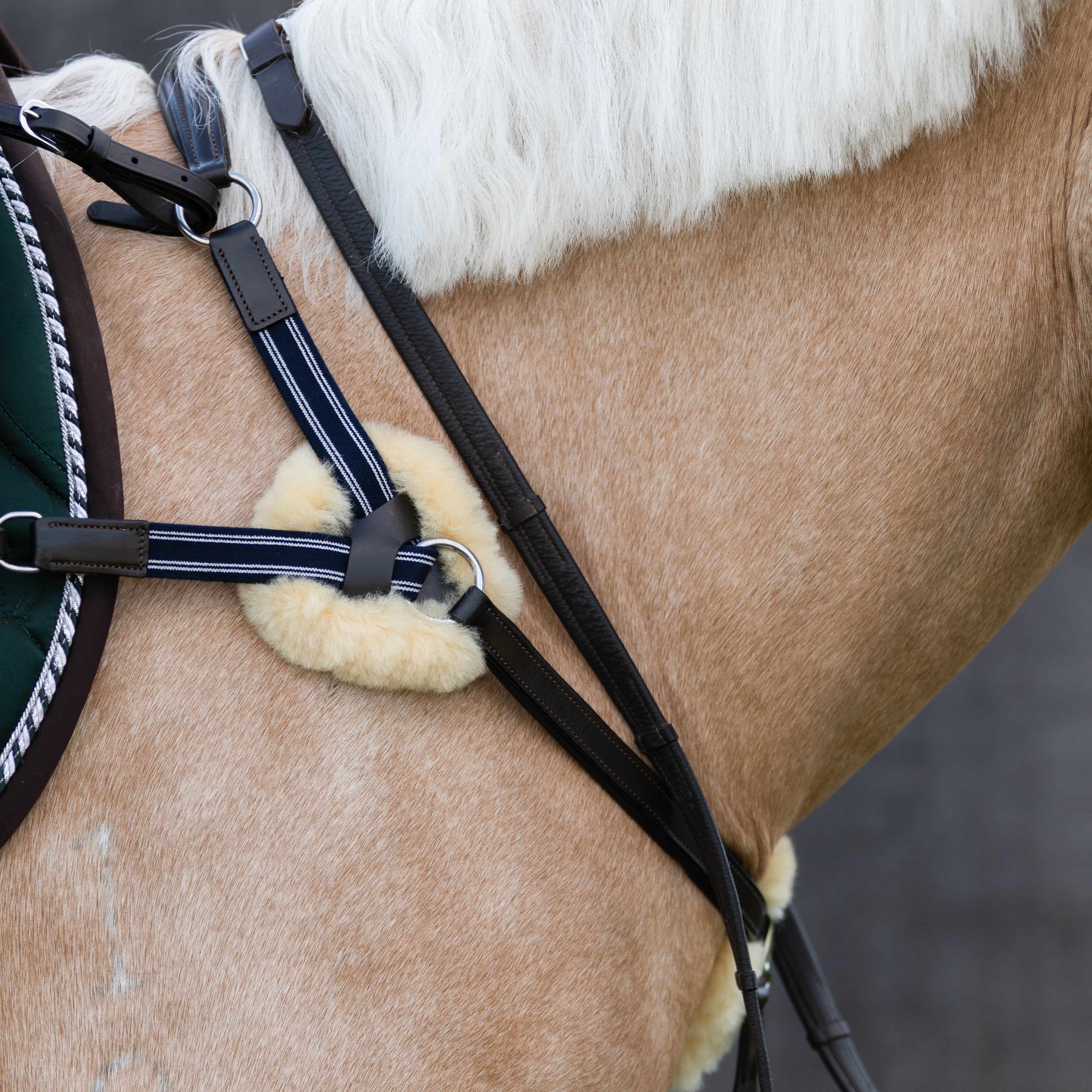 'Antiqua' 5-Point Leather Breastplate - Lumiere Equestrian