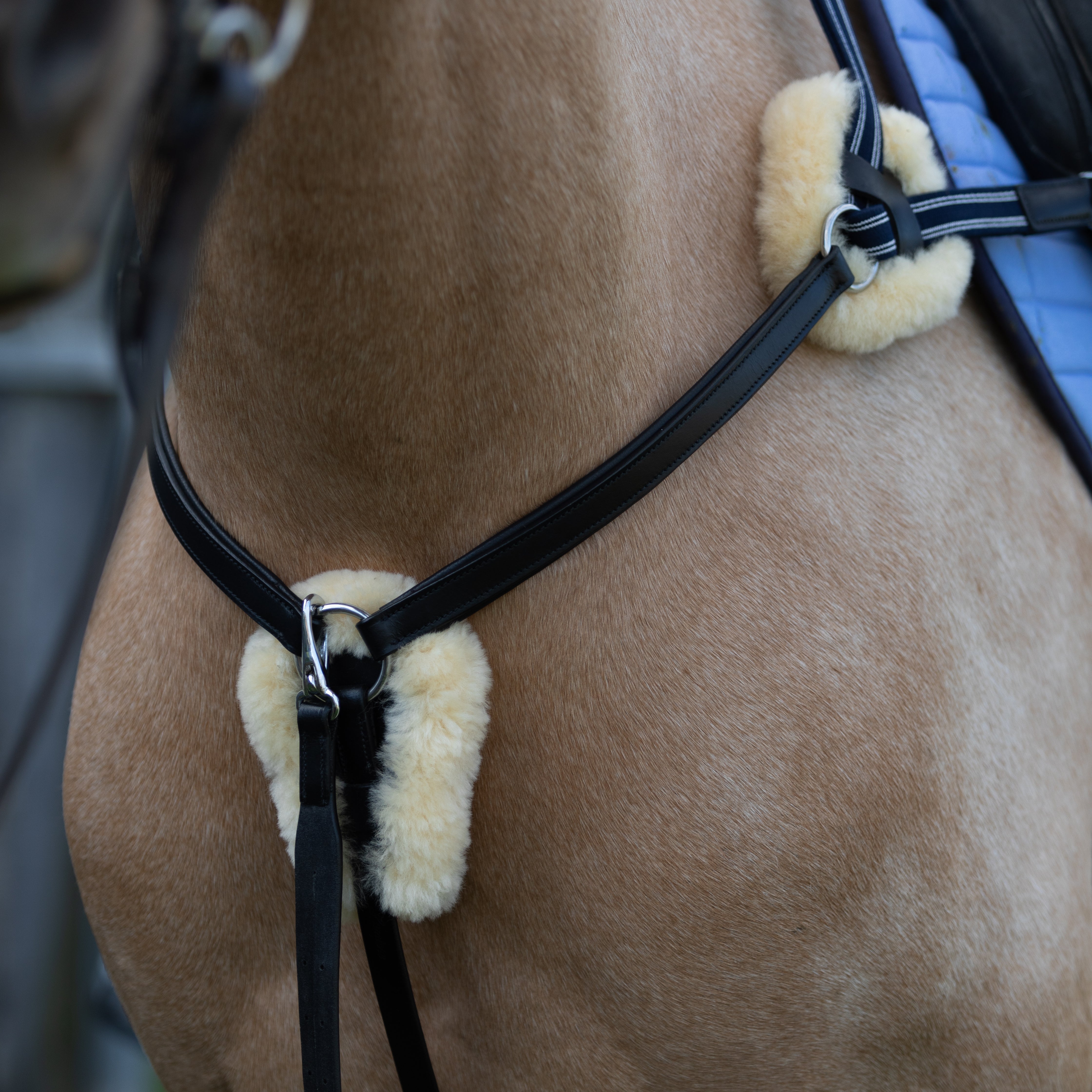 'Antiqua' 5-Point Leather Breastplate - Lumiere Equestrian