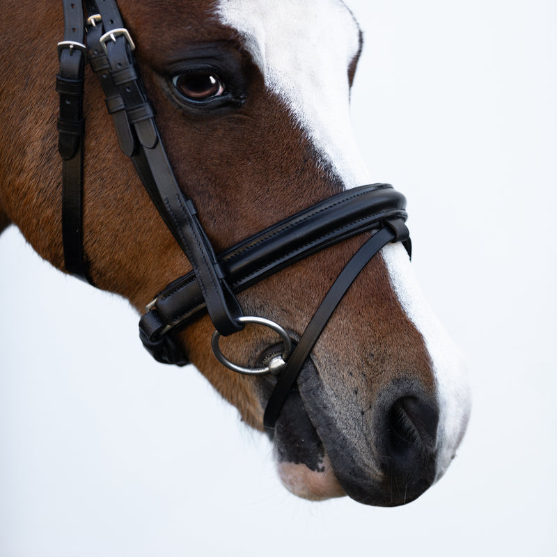 'Demi' Leather bridle (Lumi Pony)