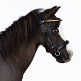Iddy Biddy Bitless bridle (Lumi Pony) Clearance