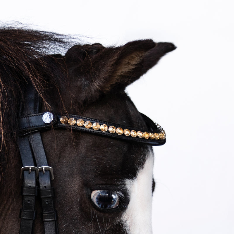 Iddy Biddy Bitless bridle (Lumi Pony) Clearance