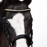 Iddy Biddy Bitless bridle (Lumi Pony) Clearance