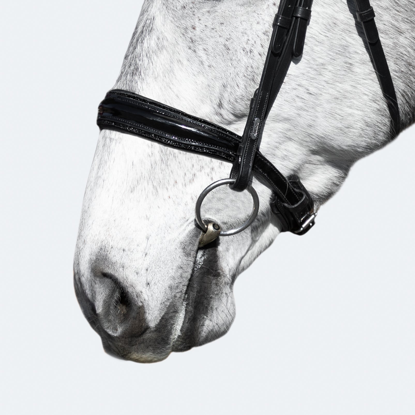 'Arcadia' Luxury Leather Bridle (Cavesson) - Lumiere Equestrian