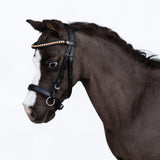 Iddy Biddy Bitless bridle (Lumi Pony) Clearance