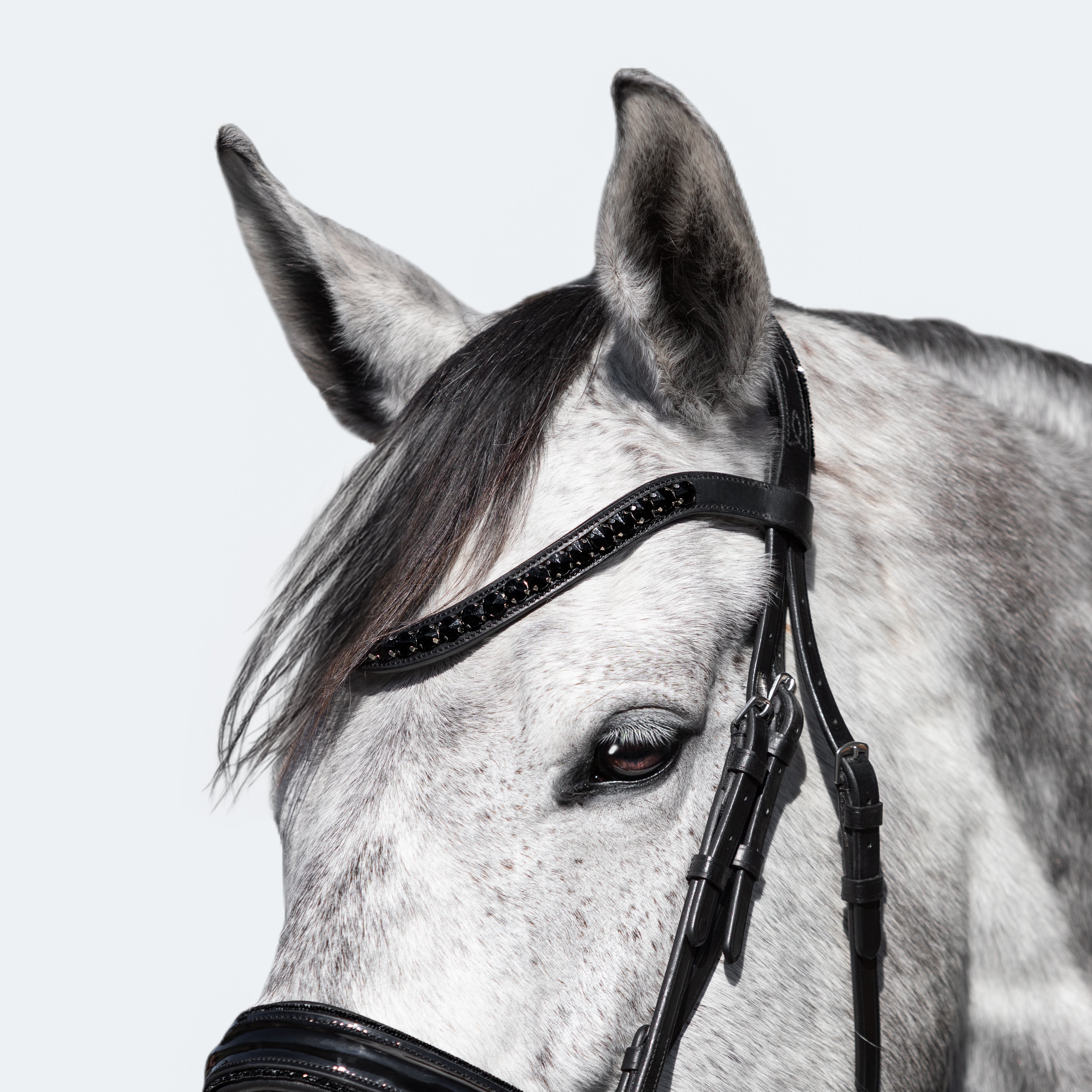 'Arcadia' Luxury Leather Bridle (Cavesson) - Lumiere Equestrian