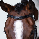 Sansa Nosebandless Bridle