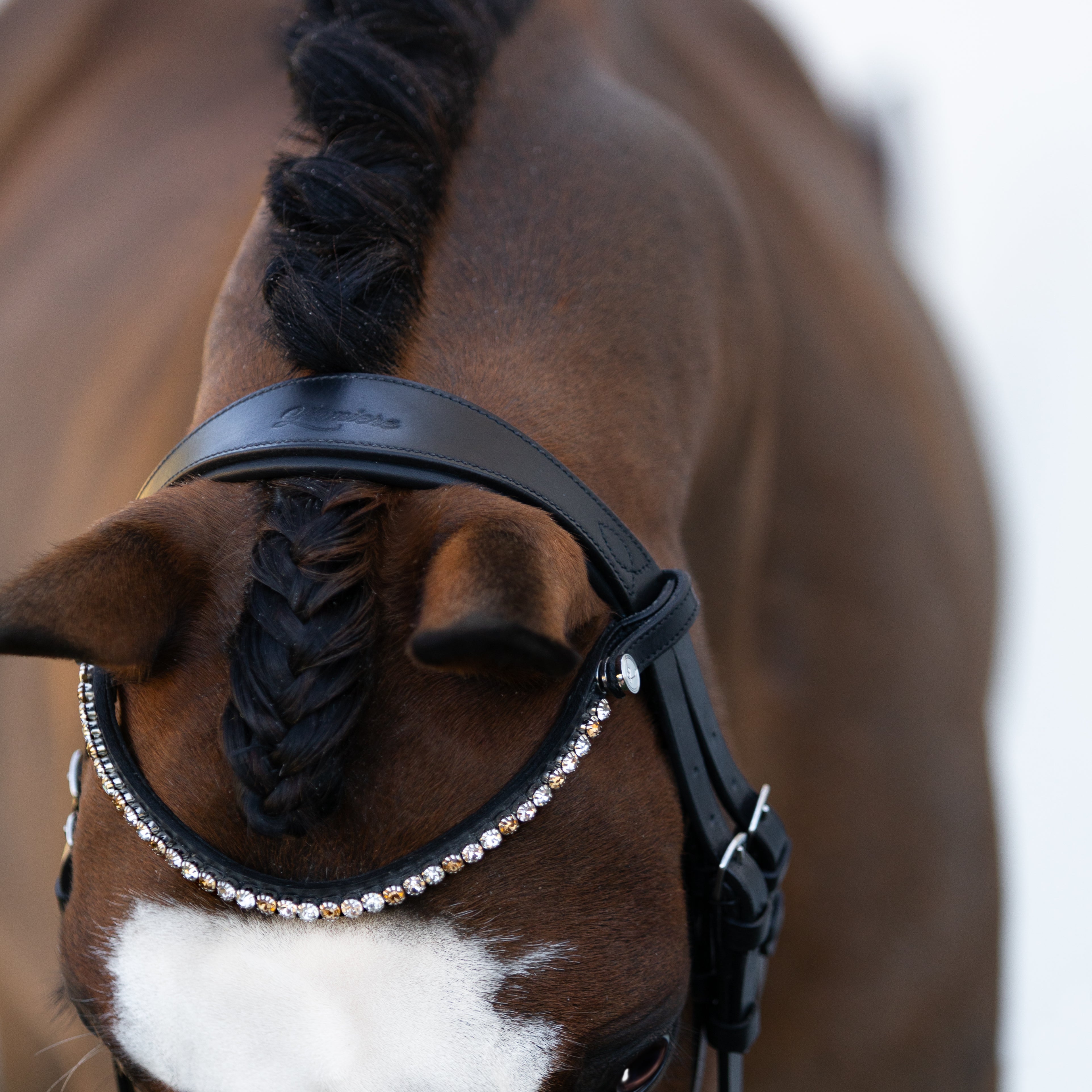 'Megan' convertible leather bridle (Lumi Pony) - Lumiere Equestrian